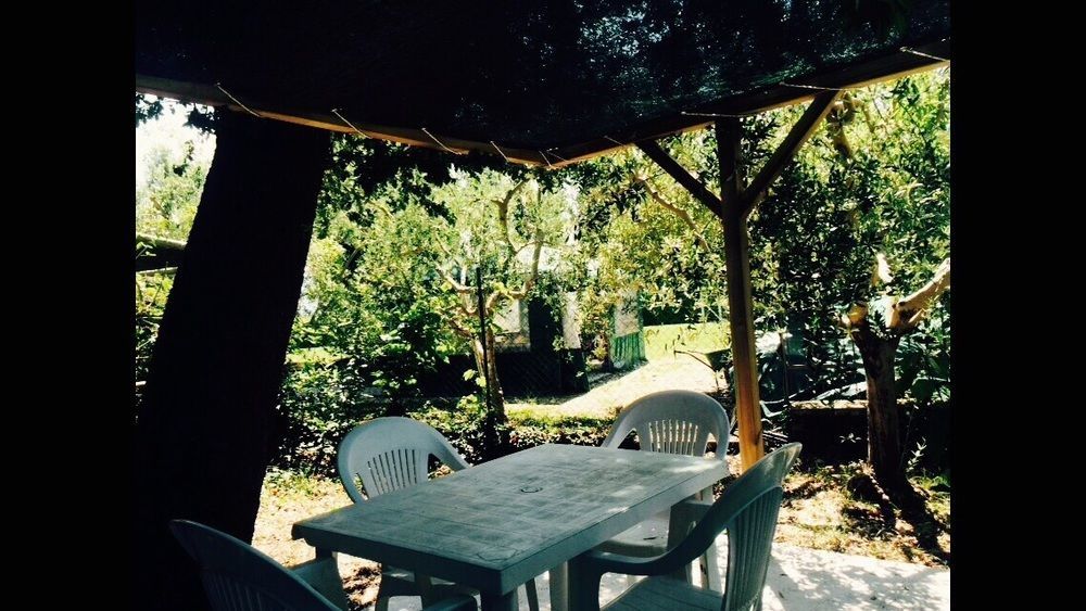 Agriturismo La Mora Assisi Bagian luar foto