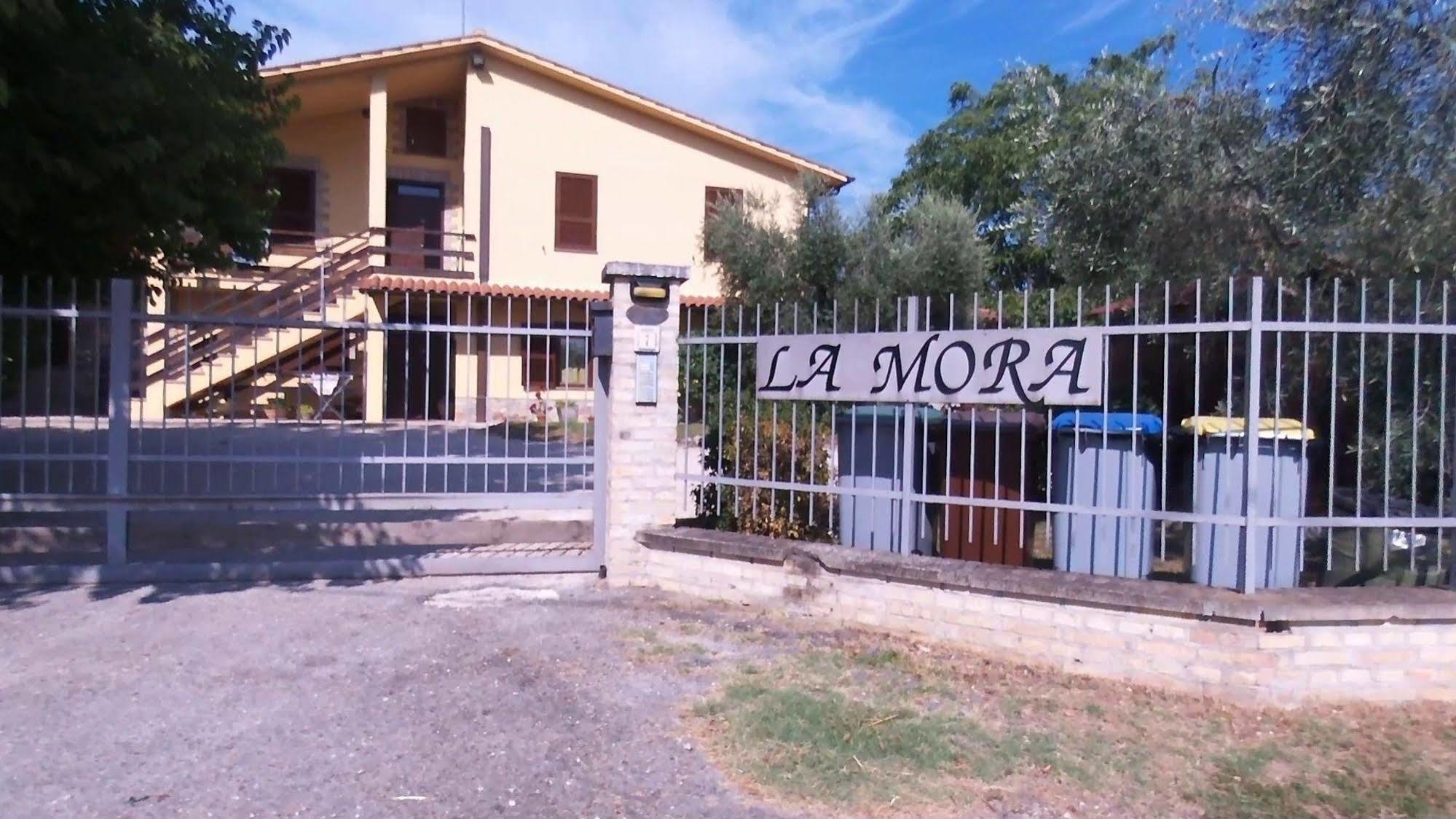Agriturismo La Mora Assisi Bagian luar foto